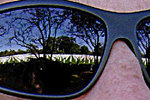 Arlington shades