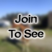 SGT Section Sergeant