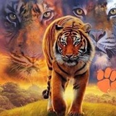 CMSgt Clarence Mckimmy