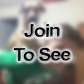 PO3 Automated Data Processing Specialist