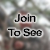 SPC Tier Ii Technician