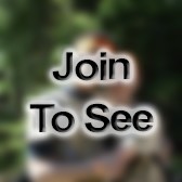 1LT Communications (S6)