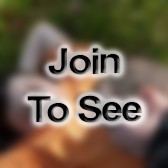 CPT Bent Over A Barrel