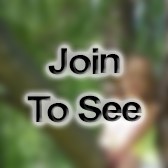 SSG Instructor/Writer