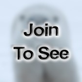 MSgt RF Transmission Systems