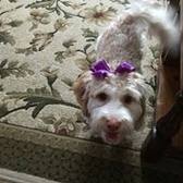 SFC Richard Winchester