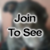 SGT Section Sergeant