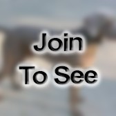 MSgt Production Superintendent