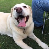 MSgt Darda McConnell