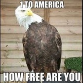 MSG Michael McElmeel