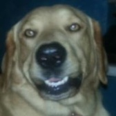 Cpl Rene Davila Wolf Pack