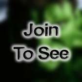 SGT Signal Support Systems Specialist