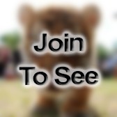 SGT Chemical Biological Radiological and Nuclear Operations Specialist