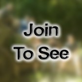 SGT Engineer In Charge