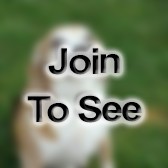 Lt Col Test Director