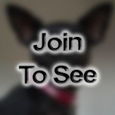 SFC Medical Sergeant