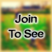 SGT Fire Team Leader