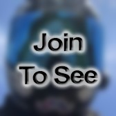 SGT Team Leader/ Mft Alt