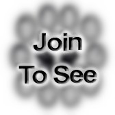 SGT(P) Air Assault Instructor