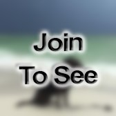 CPT Company Commander