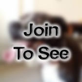 CPT Field Artillery Officer