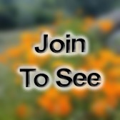 Maj Health Care Integrator, Director Medical Management