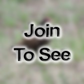 SSG Instructor/Writer