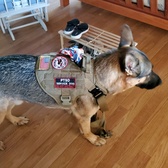 SGT Patricia Borowski