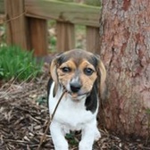 Lt Col David Russell