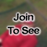 LTC Director Of Instruction