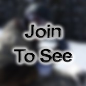 SSG Section Sergeant