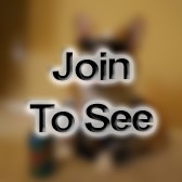 1LT Aviation Officer