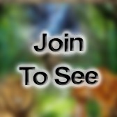 SSG Battalion Motor Sergeant