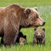 SPC Dominic Vincenty