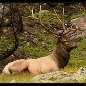 SGT Nathaniel Wilkinson