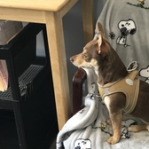 PO2 Sally Hintemeyer