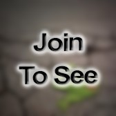 SGT 68 S Preventive Med