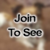 1LT Physician Assistant