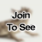 SrA Intelligence Analyst