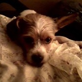 LCpl Lowell Middleton