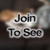 MSG Quality Control Ncoic