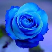 TSgt William Holliker