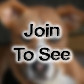 PO2 Electrician's Mate