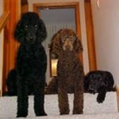 CW3 Charles Campbell