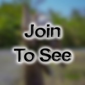 Sgt Logistics Chief (S4)