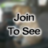 LTJG Information Systems Management