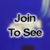 SFC Platoon Sergeant