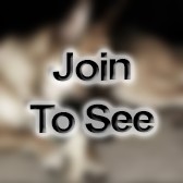 TSgt C 17 Instructor Airdrop Loadmaster