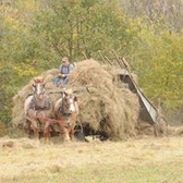 MSG Scott Moorehouse