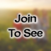 CPT Deputy Support Operations Officer